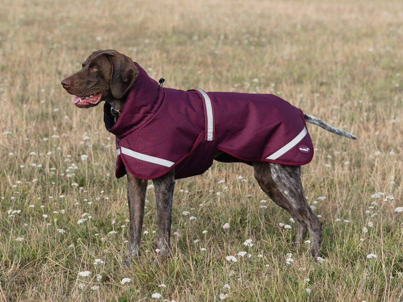 Luxe Waterproof Dog Coat 250g — Premium Padded Winter Jacket