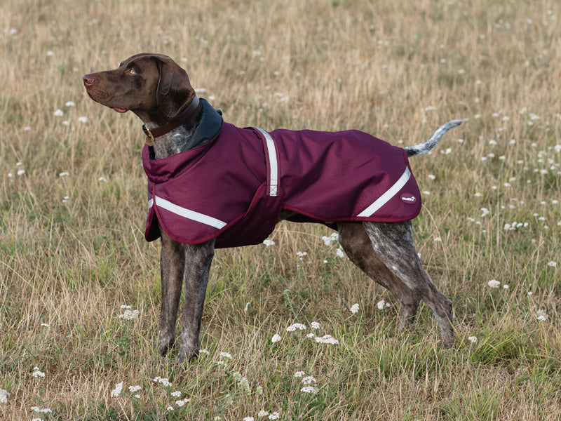 Luxe Waterproof Dog Coat 250g — Premium Padded Winter Jacket