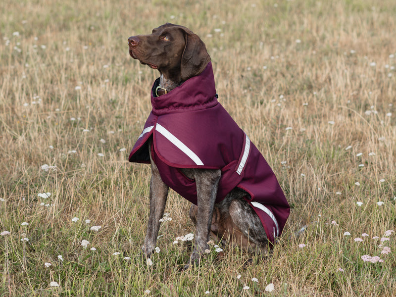 Luxe Waterproof Dog Coat 250g — Premium Padded Winter Jacket