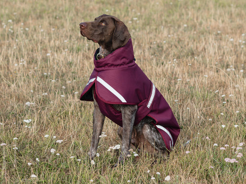 Luxe Waterproof Dog Coat 250g — Premium Padded Winter Jacket