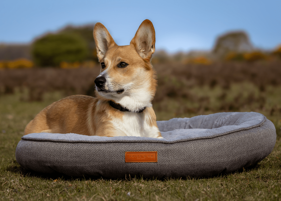 The Balmoral — Luxury Herringbone Calming Donut Dog Bed