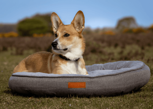 The Balmoral — Luxury Herringbone Calming Donut Dog Bed