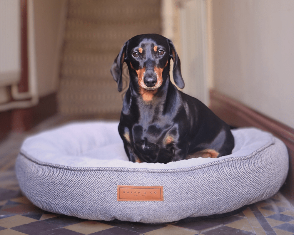 The Balmoral — Luxury Herringbone Calming Donut Dog Bed