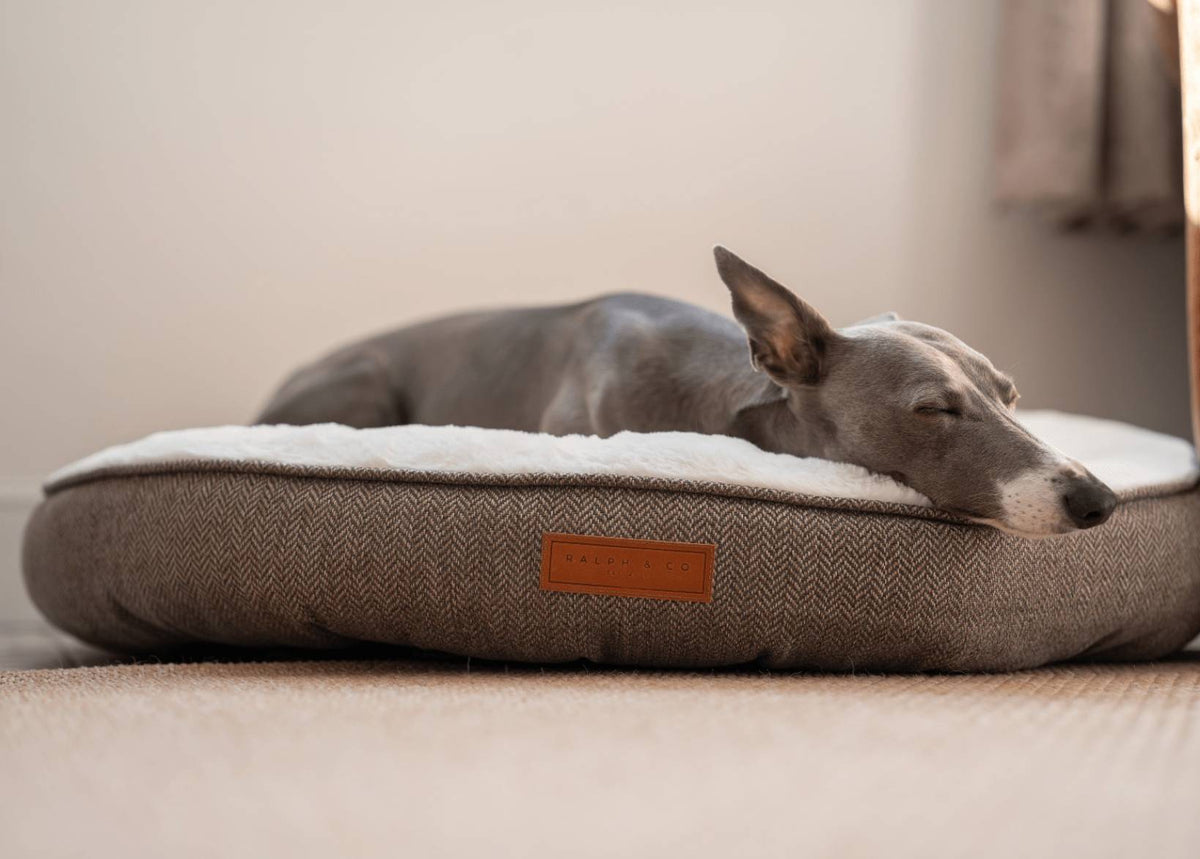 The Lincoln — Luxury Tweed Calming Donut Dog Bed