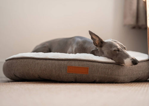 The Lincoln — Luxury Tweed Calming Donut Dog Bed